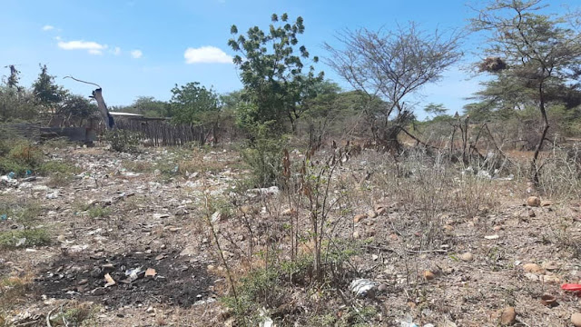 LA PLAYA FRÉITEZ SUCUMBE ENTRE LA BASURA Y LA FETIDEZ (+FOTOS)